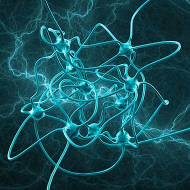 Anatomy of a Neural Network